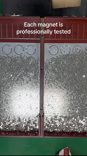 Rose magnet trên TikTok