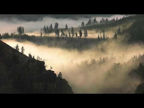 Fall Splendor in Yellowstone
