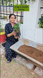 It's the little things that matter🙏🌱 Flowers 💐💐 their beauty, fragrance & colours are a gift from nature 💐 we are here for a reason, lets find the reason & do our bit🙏🌱 Friends, To order our Farm Fresh Products, kindly Click the link in our bio 🙏🌱😊 Health is wealth 🌱 Food is Medicine 🙏 Happy Farming 👍 #organicfarmer #home #flowers #greenlife #sale #savemotherearth #letsdoittogether | OrganicFarmer