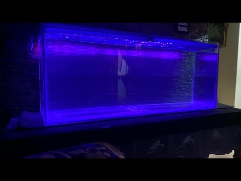“Monster Fish Tank Build | 5FT Aquarium Final Reveal!”