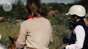 More than almost any other destination, Tanzania is THE land of safaris. That’s why the Kilimanjaro Elephant Ride has us singing {quite possibly – squealing} with excitement. | Globetrotting - Horse Riding Holidays