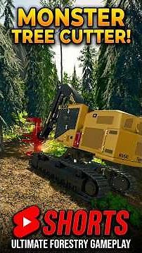 Some Fast Saws! | Tree Cutting