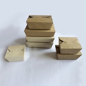 Biodegradable Take out Food Containers