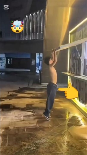 Mister cat reacts part 8 #shorts #memes #funny #funnymoments #fails