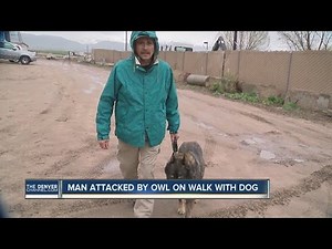 Man attacked by owl on hike