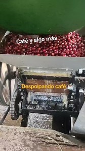 Café especial en Brasil, no todo son grandes haciendas y grandes máquinas también existen productores q le apuestan a la calidad , q les parece ? #reelschallenge #cafe #exito #superacion #FacebookPage #campo #cafedecolombia #reelsviralシ #cafebrasil | CAFÉ Y ALGO MÁS