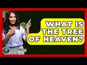 What Is The Tree Of Heaven? - Earth Science Answers