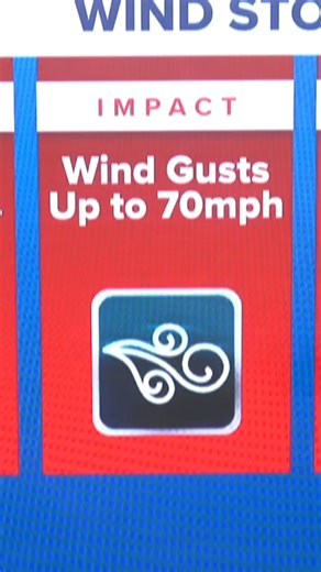 70 MPH WINDS ENDED OUR 140 FT PINE #SHORTS #SAD