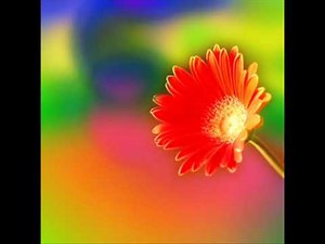 rainbow connection by sarah mclachlan