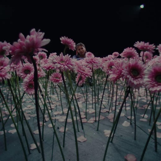 Compass Planner. Study Hub. Practice Platform. Just three of the ACCA resources that will make a difference to your December exam preparation: https://ow.ly/bgc450Xka5L | ACCA