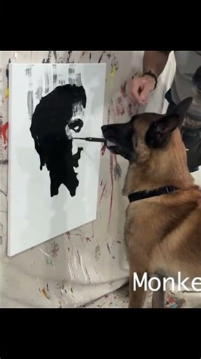 Este video es tan hermoso ❤️ #paratiiiiiiiiiiiiiiiiiiiiiiiiiiiiiii #viral #elmejoreditordelmundo #EL