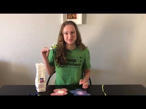 Engineering is Elementary: Make a Hand Pollinator