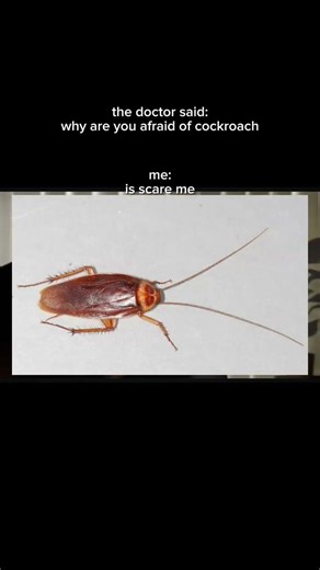 that thing is scare me (cockroach) #meme #short #phonk #edit #trend #viral #tf2 #fyp
