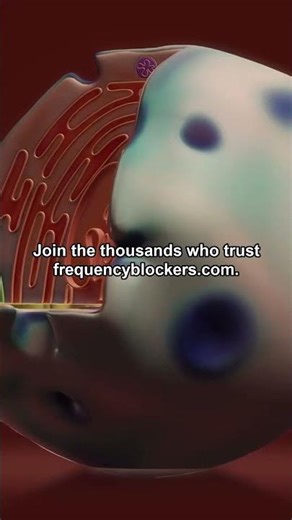 The Misleading World of Emf Stickers #faradaybag #emfprotection #emfshield #privacytech #rfshielding