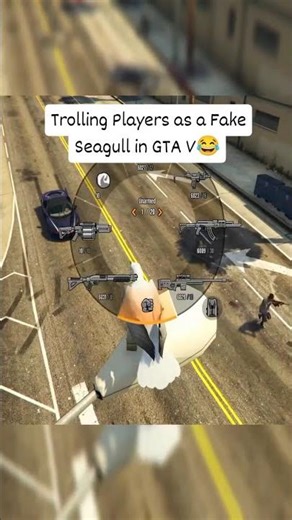 I Made Him Afraid of Seagull 😂💀