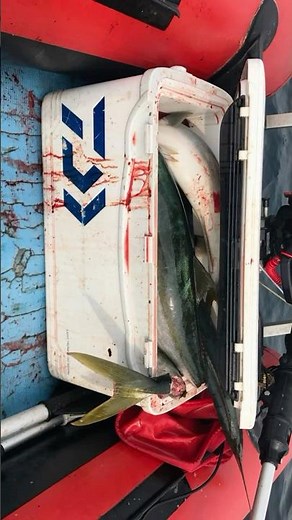北海道ゴムボート釣り