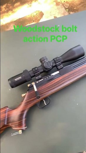 PCP specs explain bolt action #hunting #remix #everyone #pcpmarauder