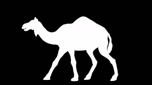A camel walking on black background with alpha channel included at the end of the video, 3D animation, side view, animated animals, seamless loop animation | Premium Stock Video Footage