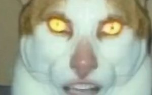 monday left me broken