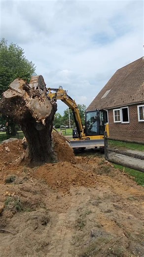 Mulching is fast, clean, and efficient — but it’s not always the...