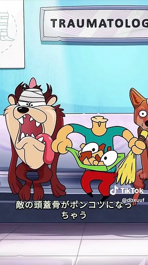 ウォンバットの甘えん坊でキュートな魅力