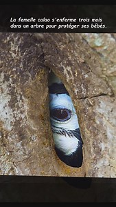 304 reactions · 40 shares | Astuces-Facebook Simple on Reels | Facebook