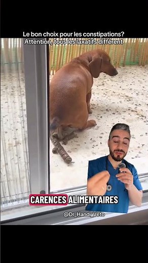 Constipation in cats or dogs? Be aware, all laxatives are different. #vet #cat #dog #cat