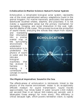 Echolocation in Marine Science Sub-Plan Classwork Homework