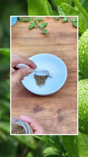 ¡Tu Rostro Brillará!