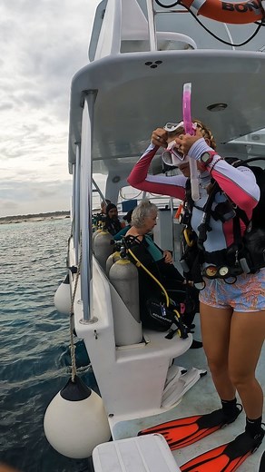 Even though Bonaire is most famous for its shore diving, changing it up once in a while with a boat dive is surely worth it! You get to go to Klein Bonaire or sites up north that are unreachable by shore. This makes it a unique opportunity to discover underwater worlds that you couldn't reach in your own. And yes, our boat dives WILL be fun! Our amazing Divemasters will make sure of that. ⏩️ Here from reels? Follow us for more scuba diving content! #boatdiving #travelbonaire #divingbonaire #boat
