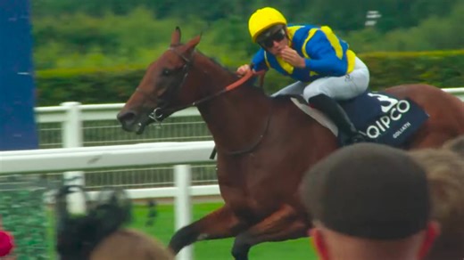 🏇 The Flat is BACK at Ascot! The speed. The drama. The moments you'll never forget. Are you ready? ✨ | Ascot Racecourse