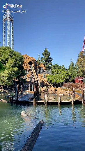 Everyone Rides Together on TikTok