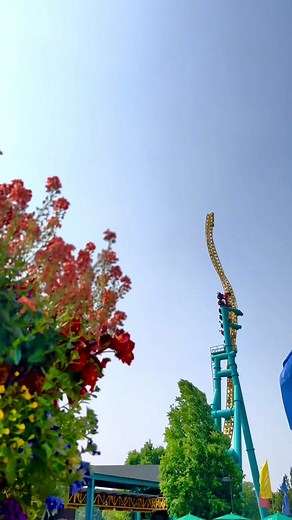 Dorney Park on TikTok