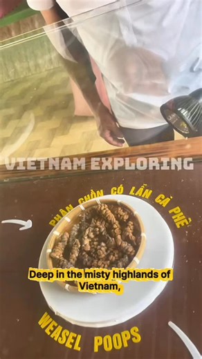 Weasel coffee in Vietnam - Thuyết Minh về cà phê chồn #weaselcoffee #viral #fyp #reels #trending | Vietnam Backpacker Travel