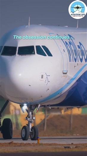 Air India Airlines #indigo #airindia #shorts #youtubeshorts #airlines #jobs #aviation