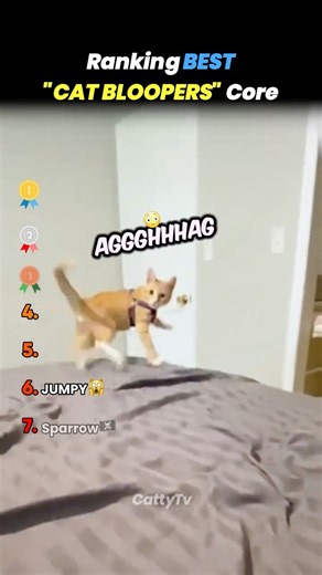 Ranking BEST BLOOPERS Core🤪😺