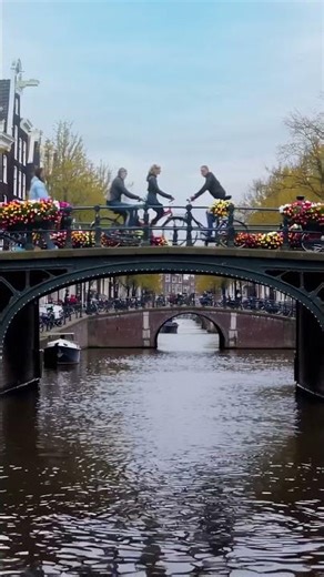 FlexRoads 2026: Don’t Miss Out on Early Bird Tickets #DataFlex #event #amsterdam #dev #community