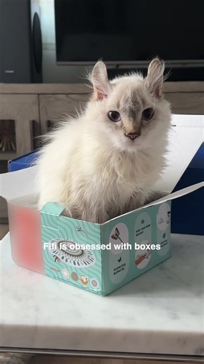 Litter-Robot 5 Pro: The Ultimate Cat Litter Box Unboxing