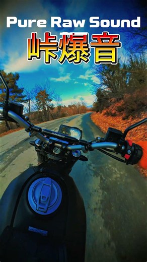 MOUNTAIN PASS ACCELERATION! Ducati Scrambler Pure Sound 🏍️💨 #leovince#bikelife#scramblerducati#pov