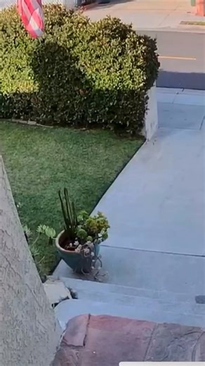 20K views · 121 reactions | Woman Steals Amazon Package from Doorstep...