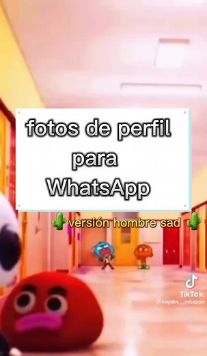 Cuentas recomendadas