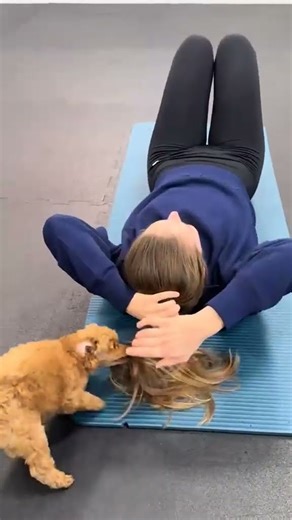 Canine Calm Yoga #cute #goldenretriever #petsrule #puppy #animallife #pets #doggielife #dog #cutedog