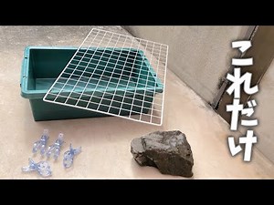 子亀飼育が１年経過…成長しない飼育環境を変更【クサガメ水槽】