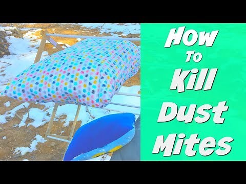 How to Kill Dust Mites Video | Cold Weather Cleaning Hacks | Winter Cleaning