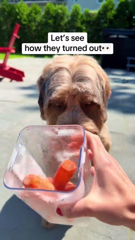 Stop buying dog treats. Make cheap homemade dog chews