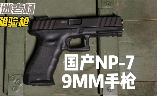 好像国内没人拍过NP-7？