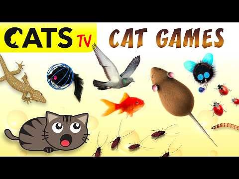 GAME FOR CATS 😻 Ultimate Compilation #07 🪳🐭 [CATS TV]