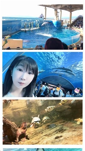 新江ノ島水族館に行ってきました🐬✨️