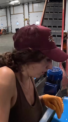 Cleaning our NEWTEC automated potato grader part 11 #explore #reels #viral #fyp #like #follow #instagood #viralpost #memes #trending #instagram #viralvideos #photography | Bell Short | Facebook