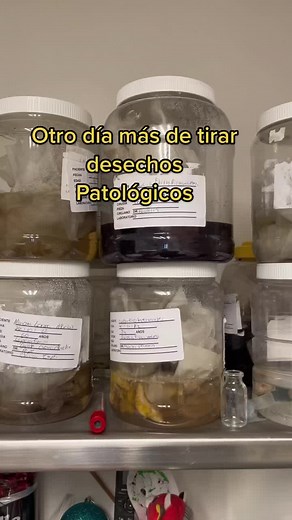 Como cada mes de tirar desechos patológicos ⚠️ 🥼🧤#aprendeentiktok #aprende #laboratoriopatologia #patologia #salud #science #patologhy #lab #quimica #laboratory #anatomia #anatomiapatologica #fyp #viral